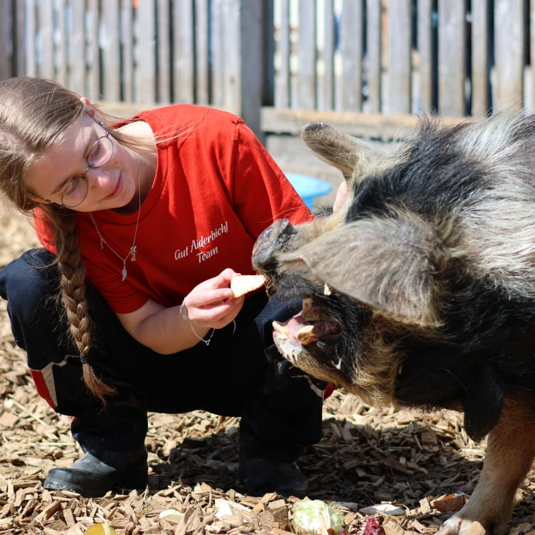 Freiwilliges Umweltjahr 2026/27