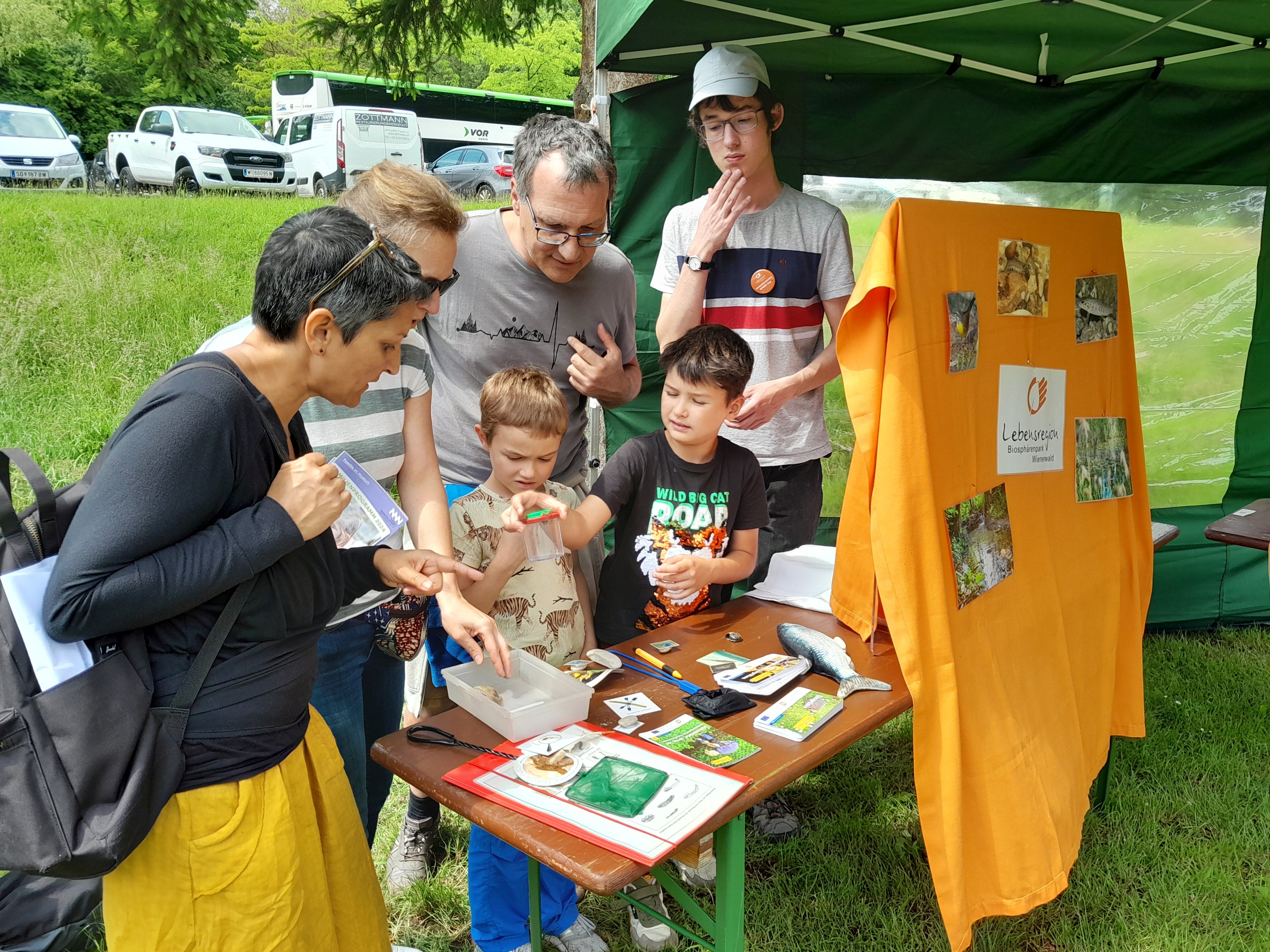 (C) Jugendumwelt Plattform