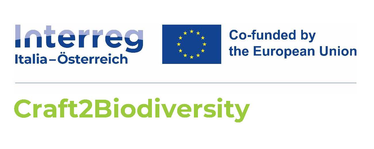 11740671780HE logo blue RGB