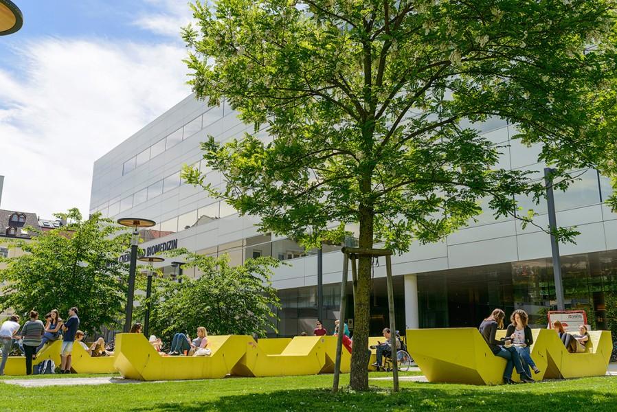 <p>© Medizinische Universität Innsbruck</p>