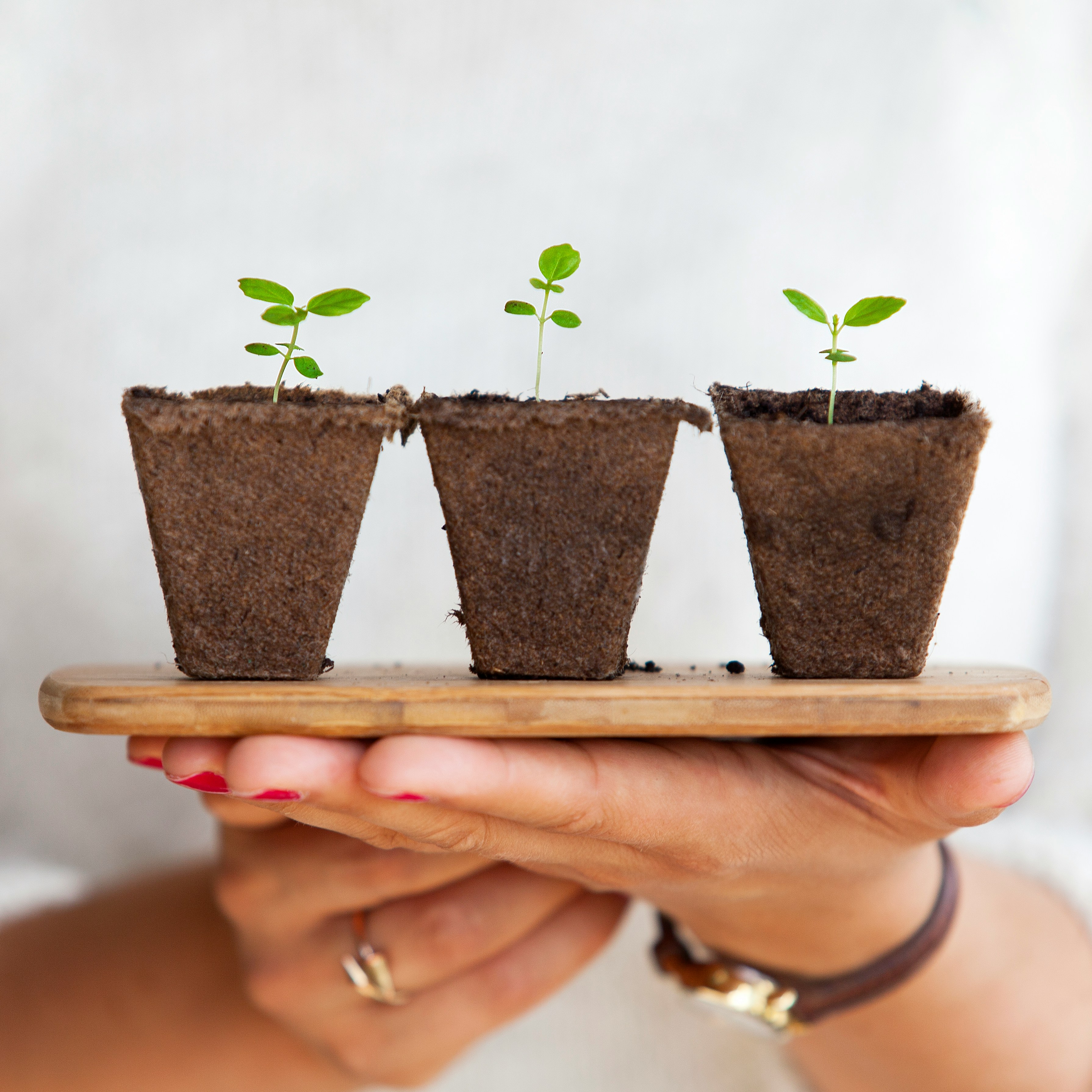 Career Tip: Growth Mindset im Job: Warum deine Haltung wichtiger ist als du denkst