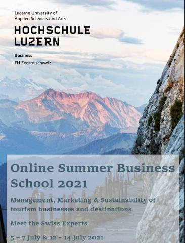Online Summer Business School