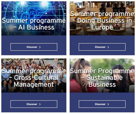 Rennes School of Business Summer Programme