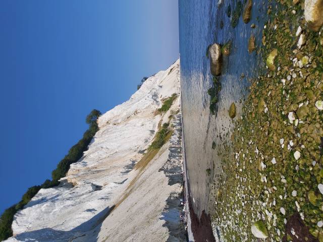 <p>Møns Klint: The cliffs are over 100m high and made of limestone. <em>Photo: Gerhard</em></p>