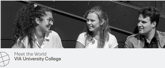 Summer Schools in Denmark