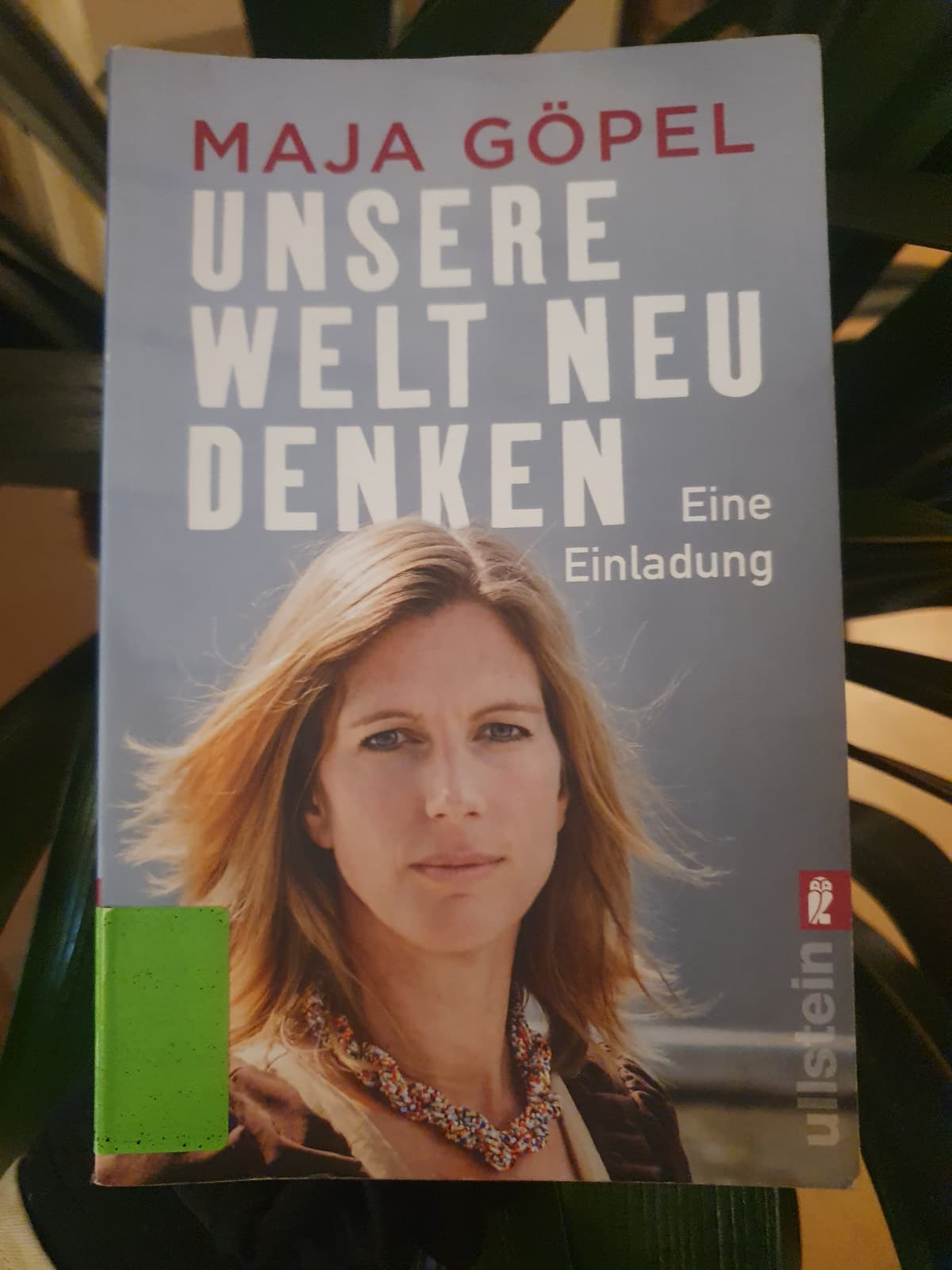 Büchertipp Brigit Rafferl