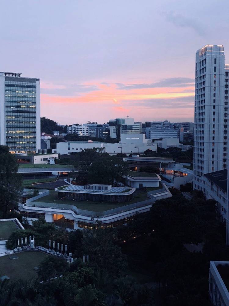 <p><em><em><em>Singapore's University Town (U-Town). Photo: Ding Xiang</em></em></em></p>