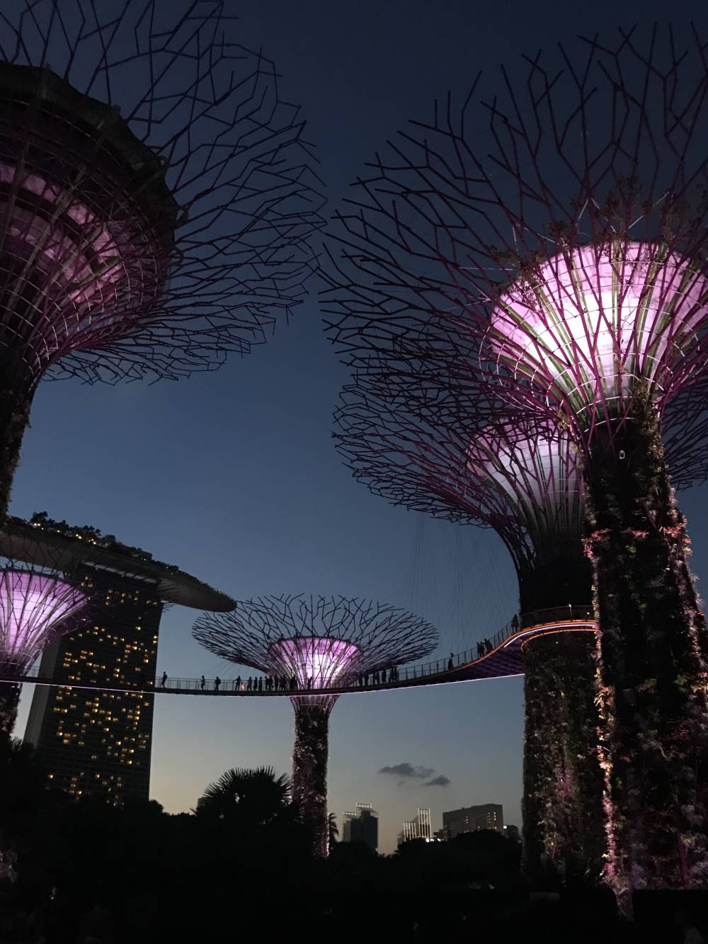 <p><em><em><em>Gardens by the bay Singapore. Photo: Sumesgutner</em></em></em></p>