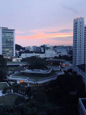 <p><em><em><em>Singapore's University Town (U-Town). Photo: Ding Xiang</em></em></em></p>