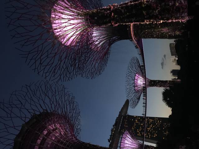 <p>Gardens by the Bay Singapur. Foto: Sumesgutner</p>