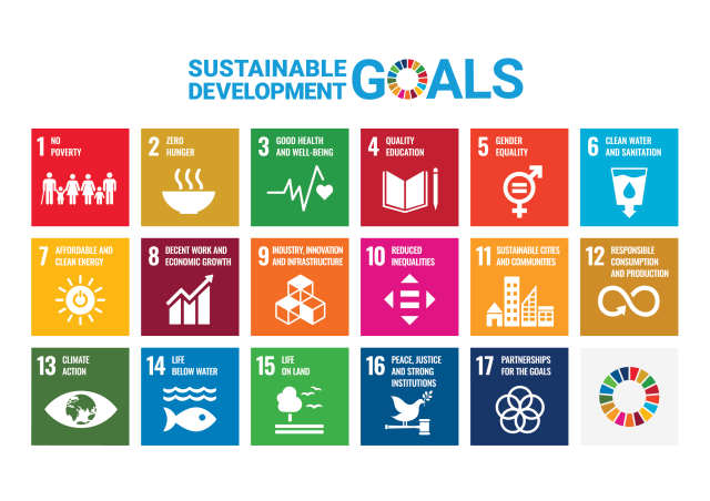 SDG Flag Day