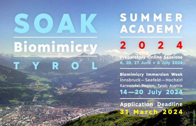 Learn from Nature: SOAK Biomimicry 2024 at MCI this July!